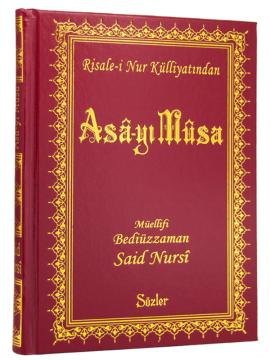 ASA-YI MUSA (BÜYÜK BOY VİNLEKS)