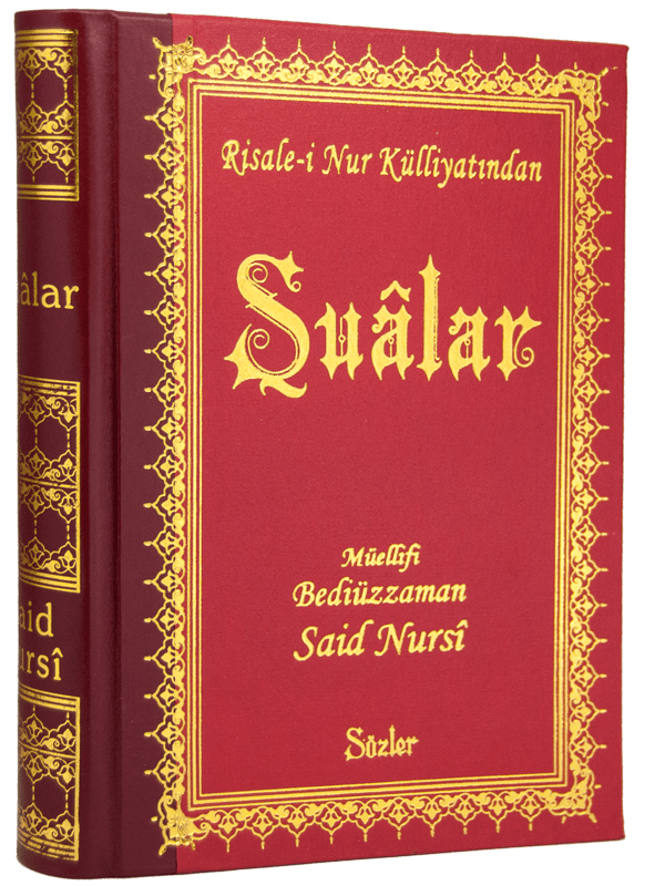 ŞUALAR (BÜYÜK BOY-SIRTI DERİ)