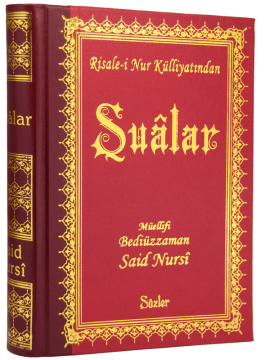 ŞUALAR (BÜYÜK BOY-SIRTI DERİ)