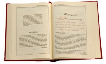 ŞUALAR (RAHLE BOY - VİNLEKS)